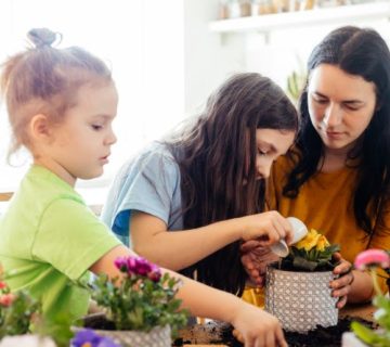 Jak Skutecznie Dbać o Rośliny w Doniczkach: Poradnik dla Ogrodników Domowych